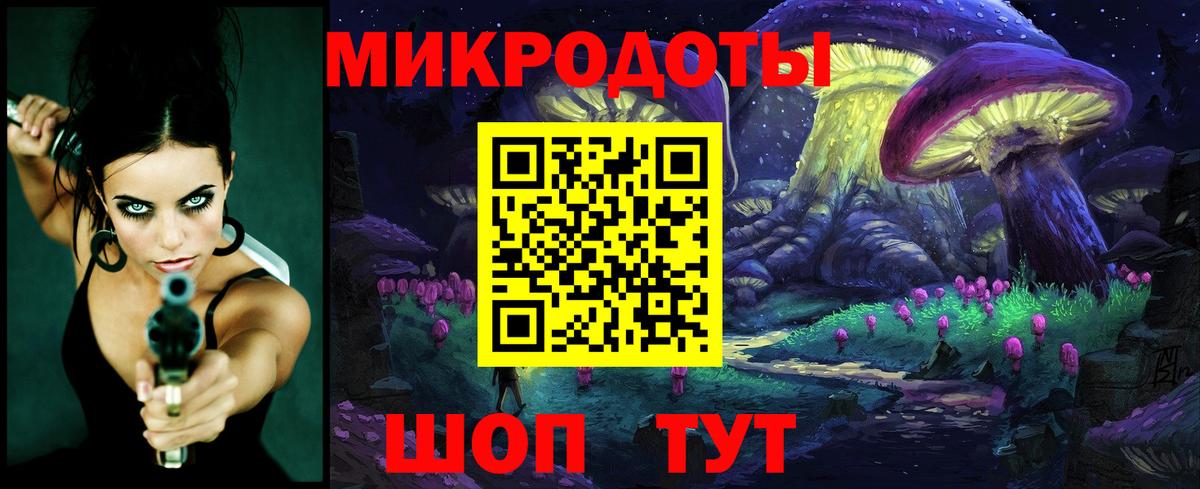 Галлюциногенные грибы Psilocybe Жуковский